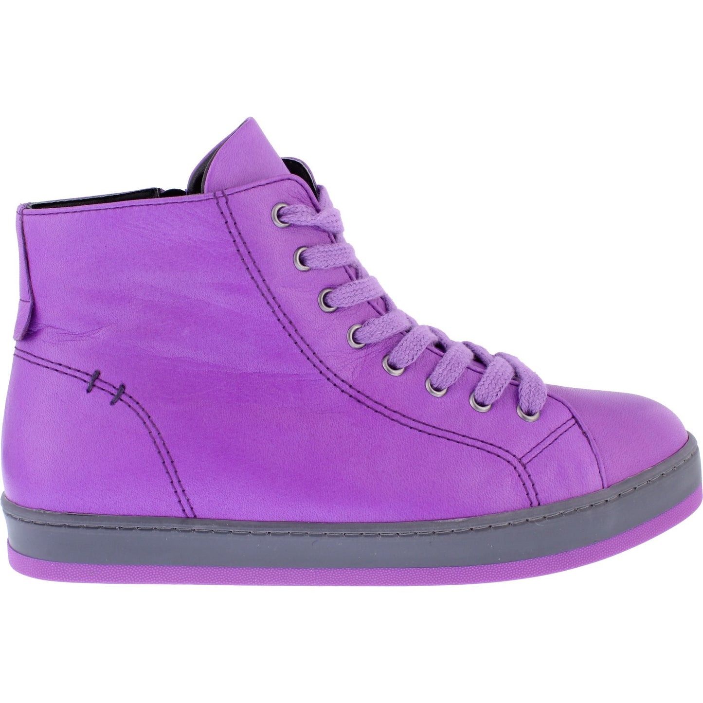 Yankee Violet