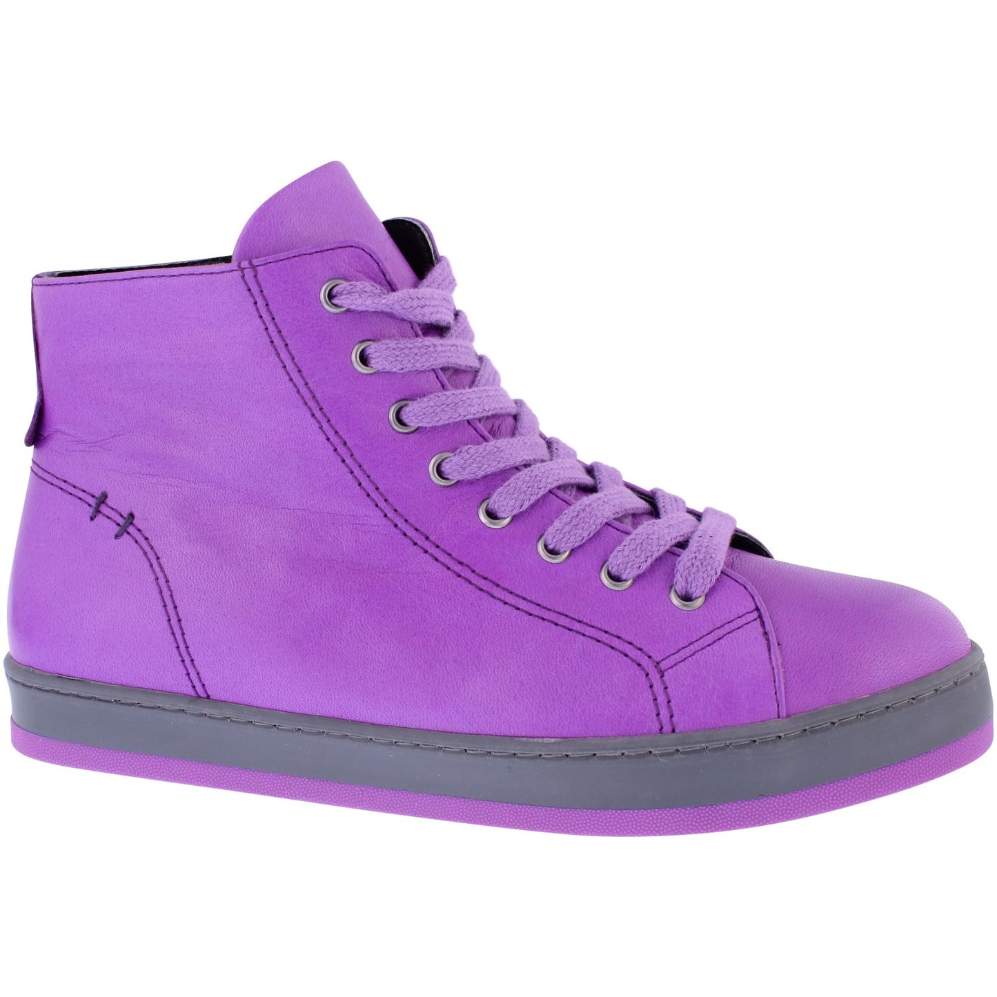 Yankee Violet