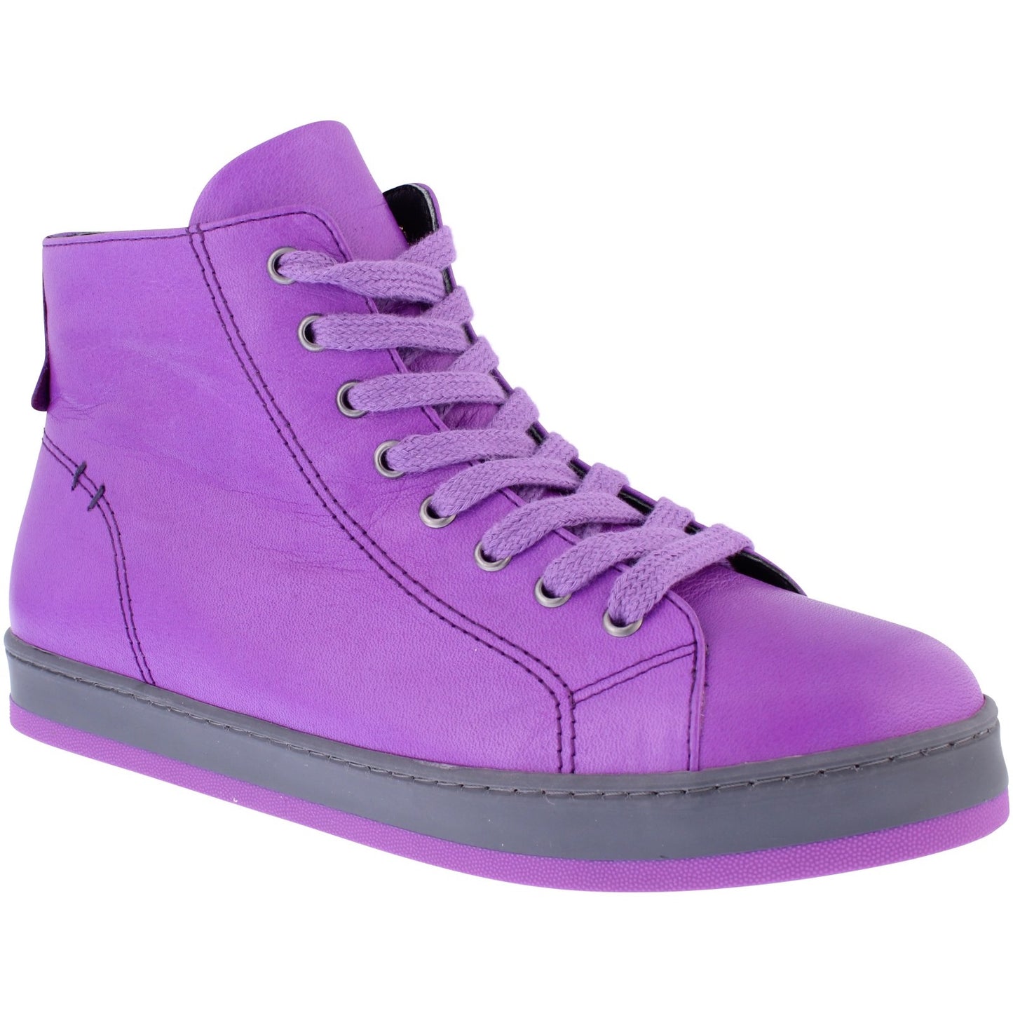 Yankee Violet