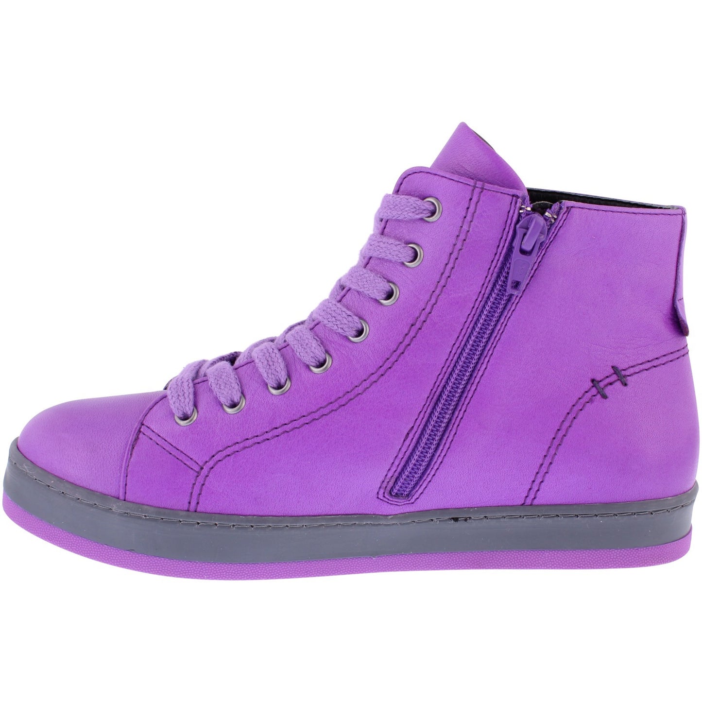 Yankee Violet