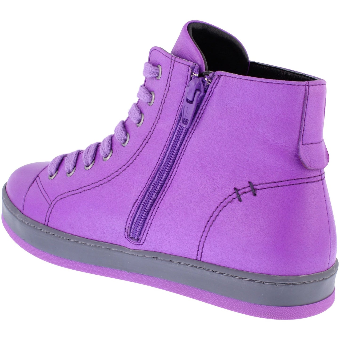 Yankee Violet