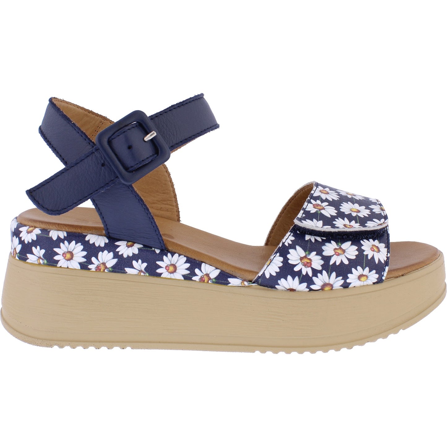 Daru Daisy Navy