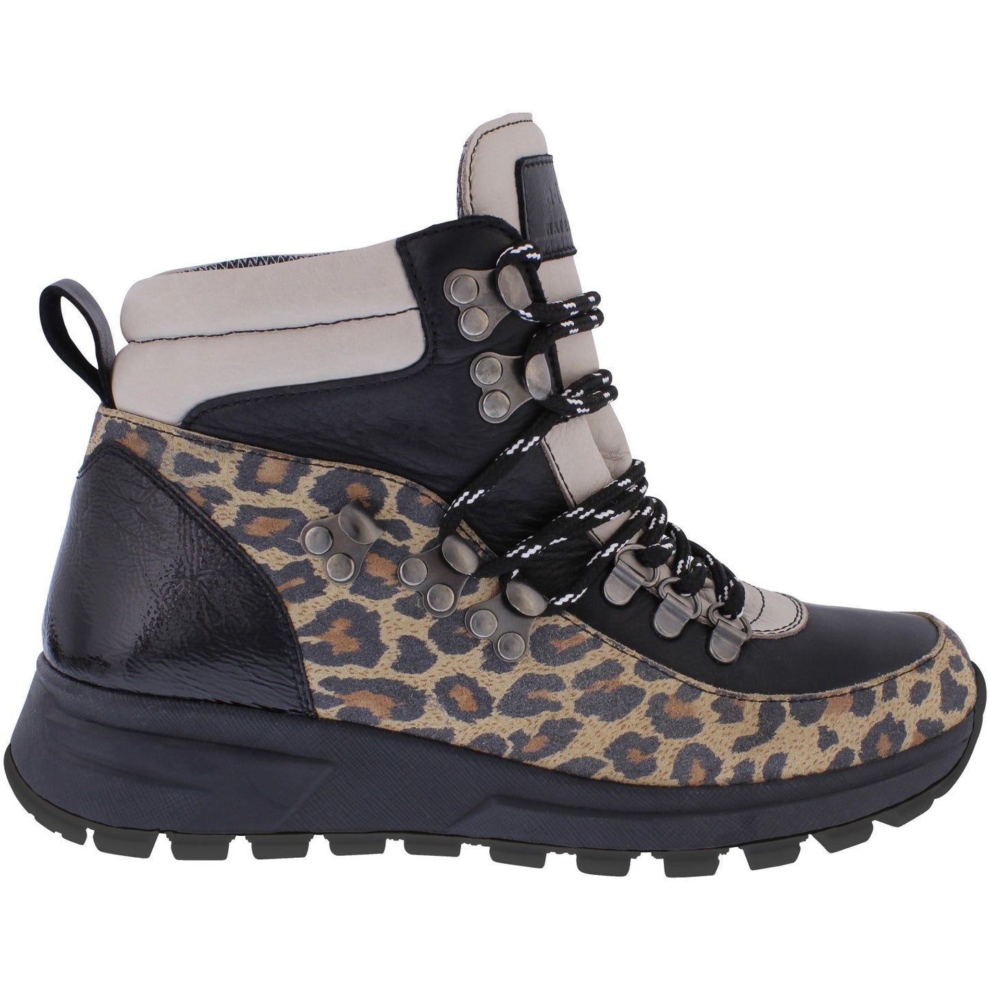 Raine Leopard