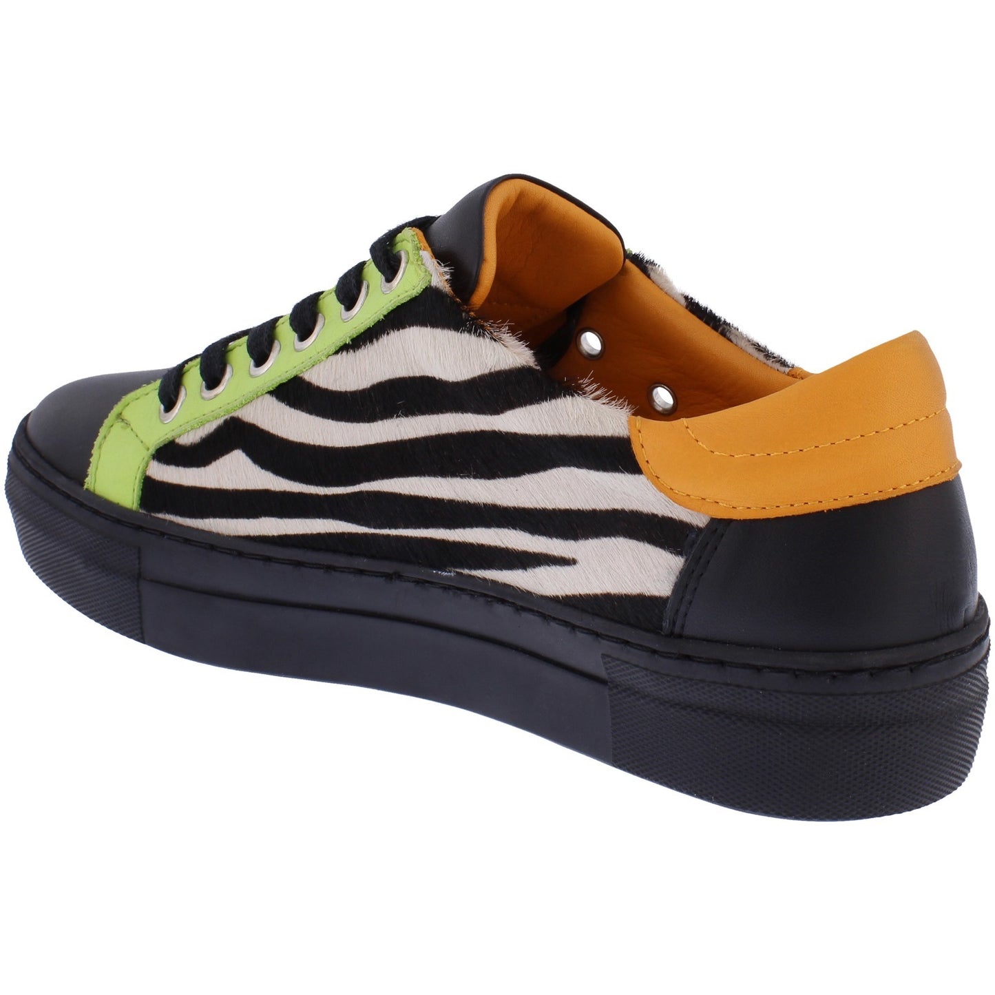 Jax Citrus Zebra