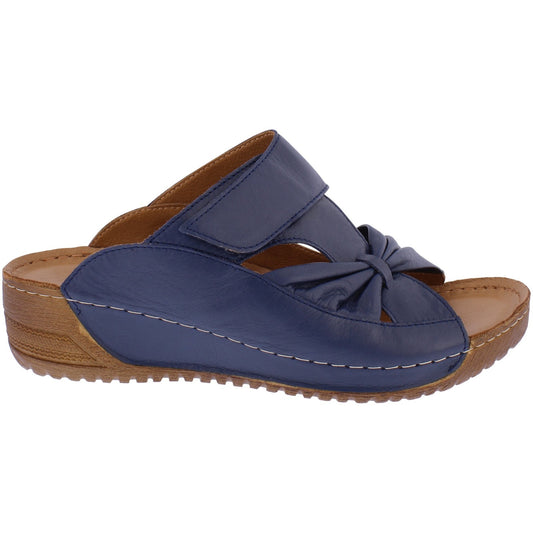 Lexi Navy