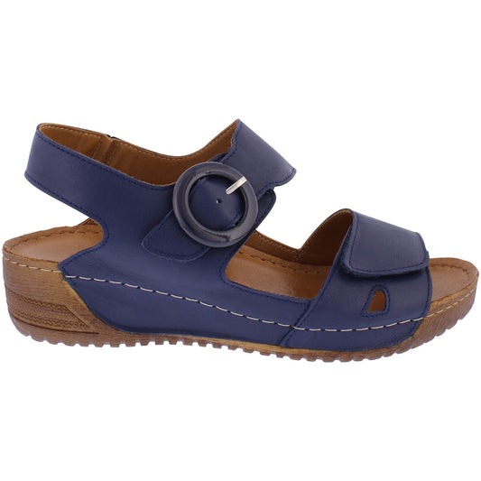 Lily Navy