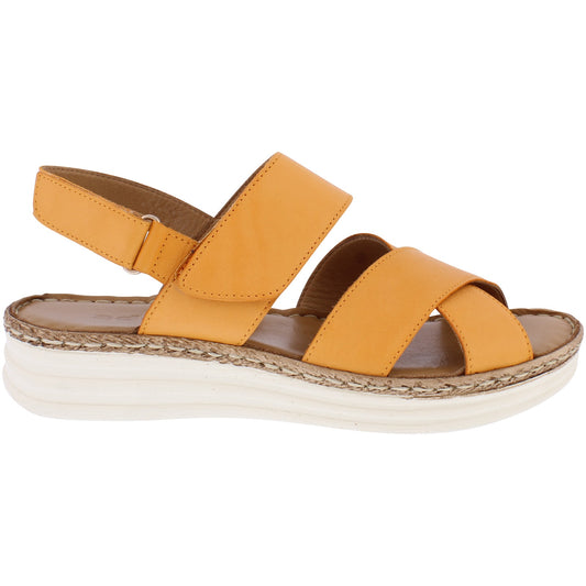 Terri Tangerine