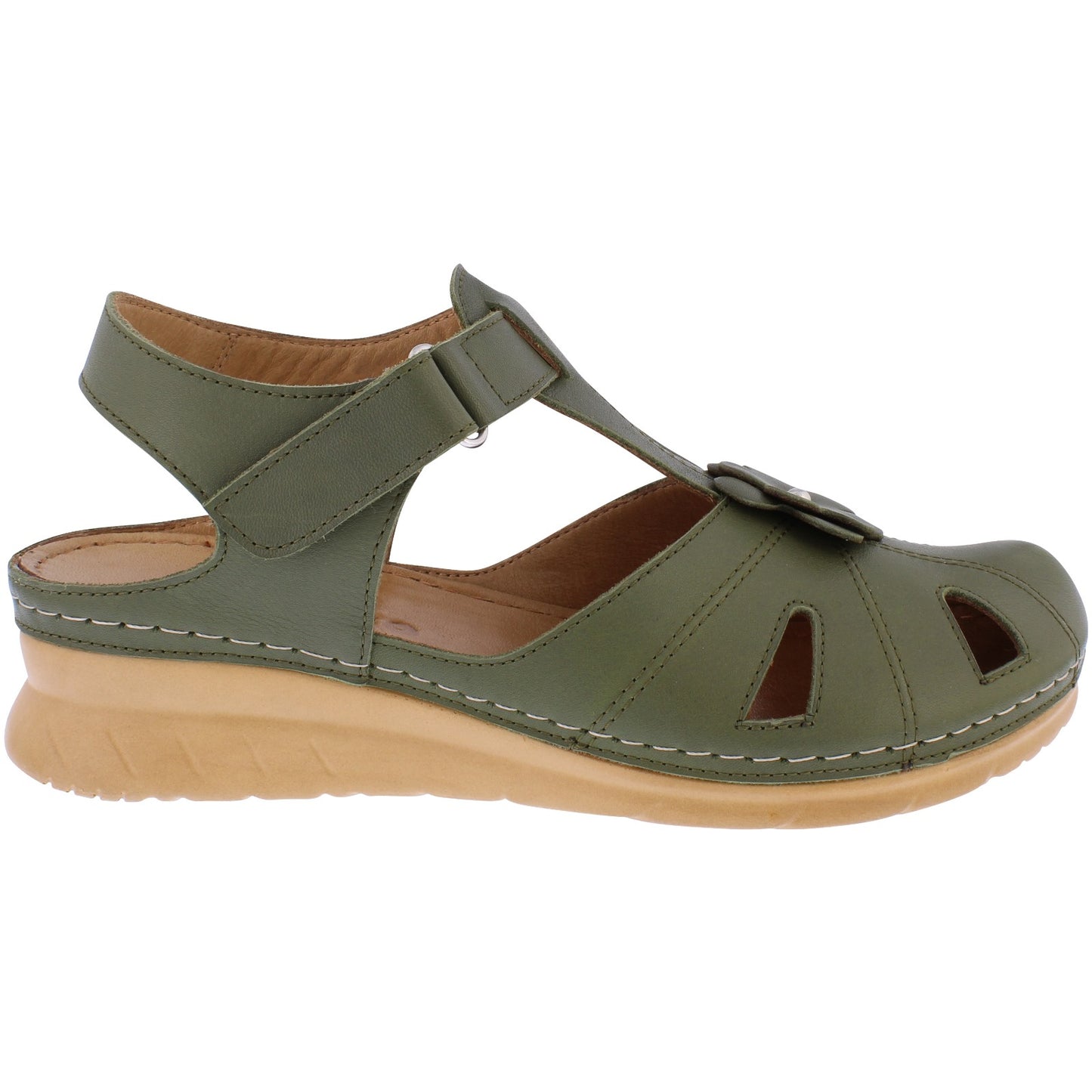 Meadow Olive