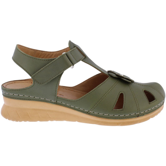 Meadow Olive