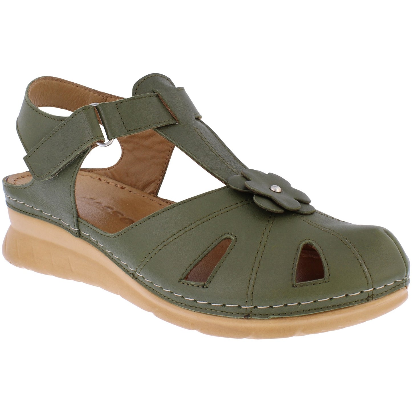 Meadow Olive