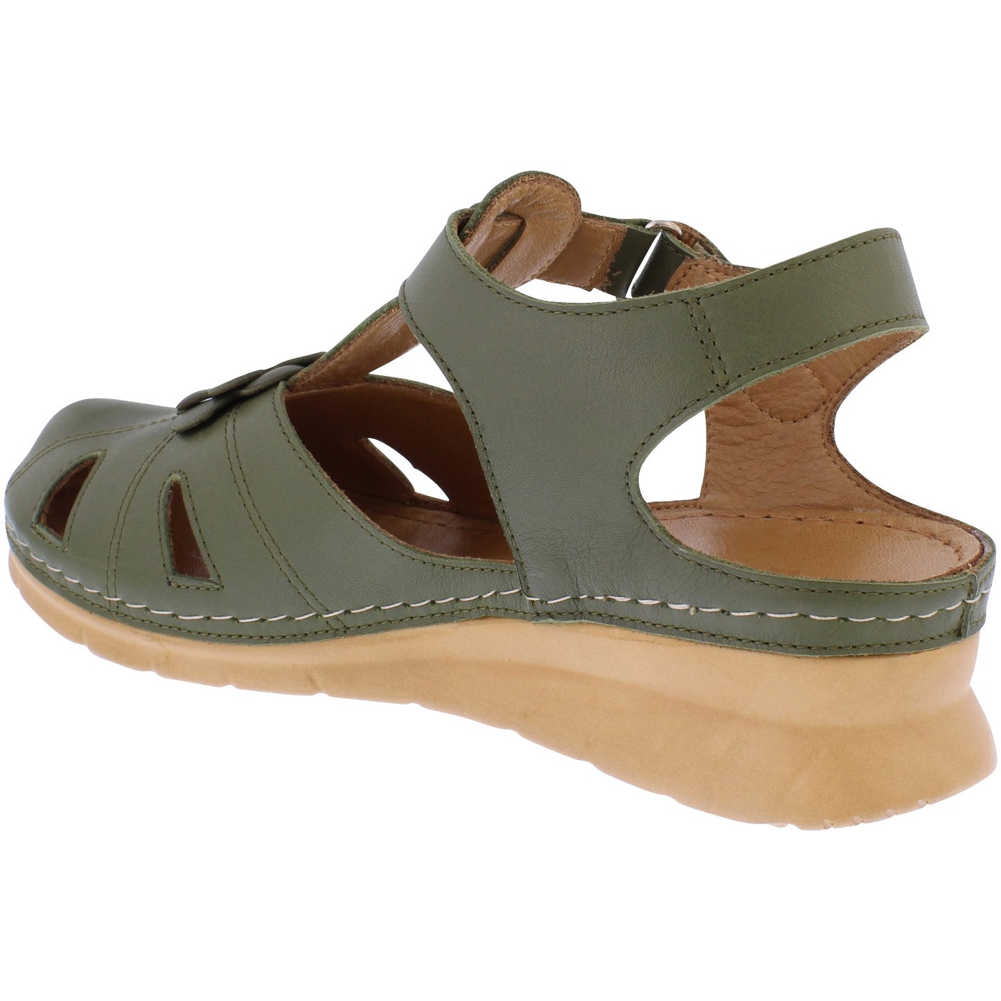Meadow Olive