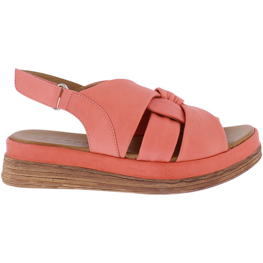 Acacia Watermelon