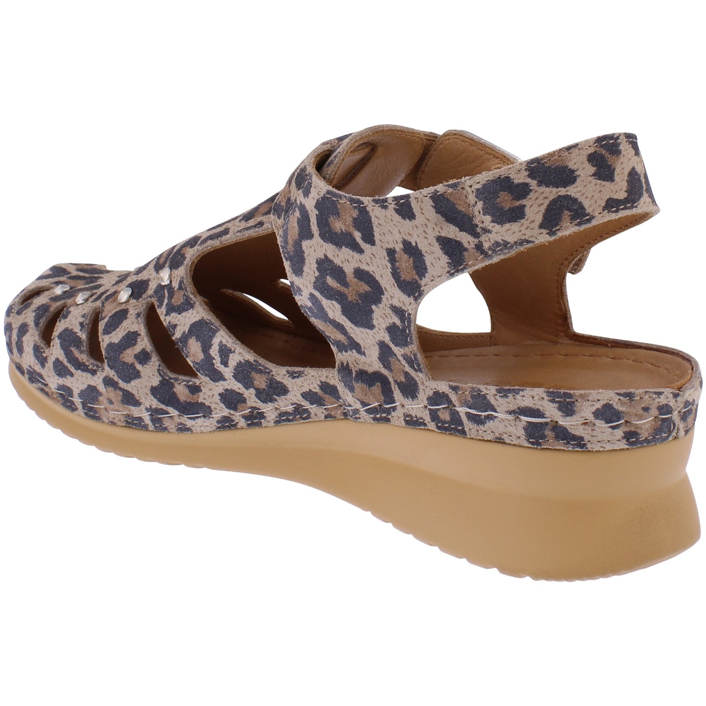 Suki Leopard